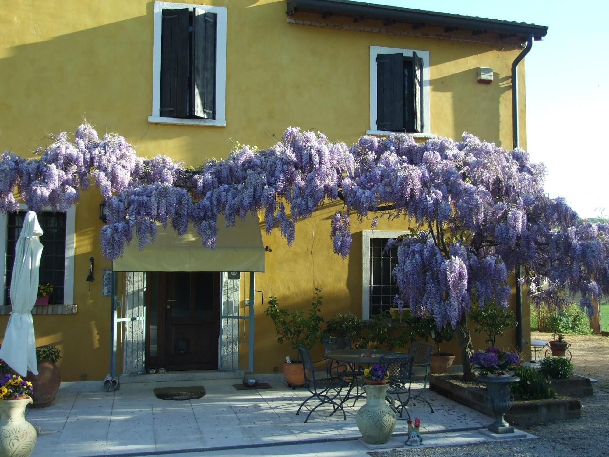 B&B Casacasina Monzambano Exterior foto